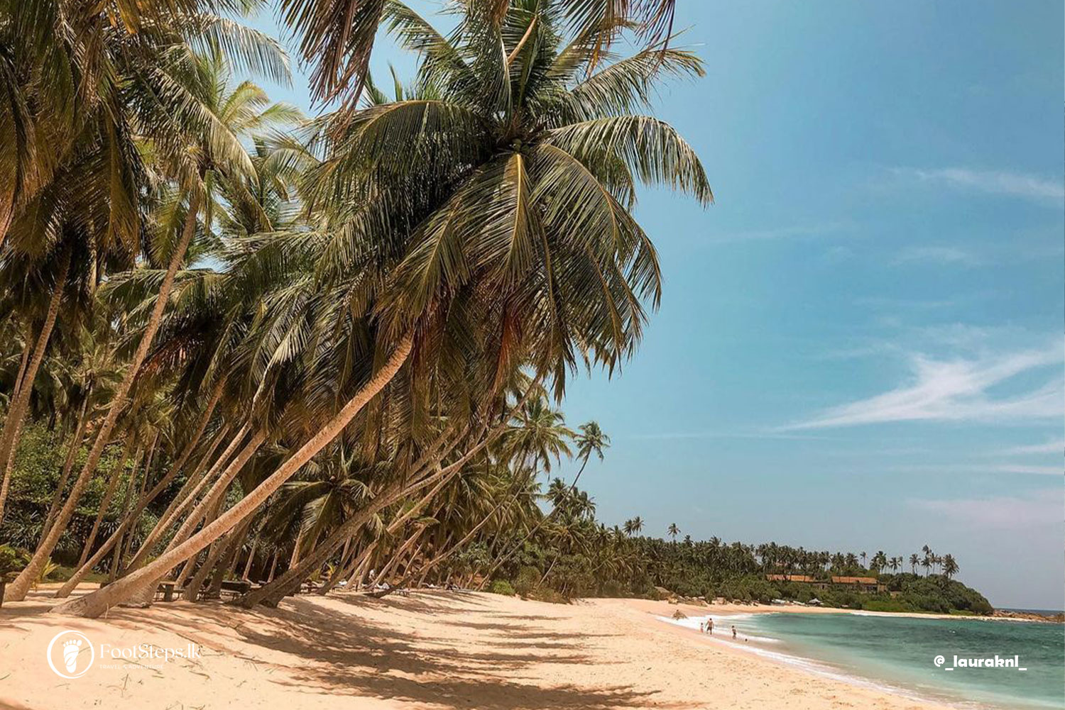 Coconut tree line at Silent Beach Tangalle, Best Beaches in Sri Lanka