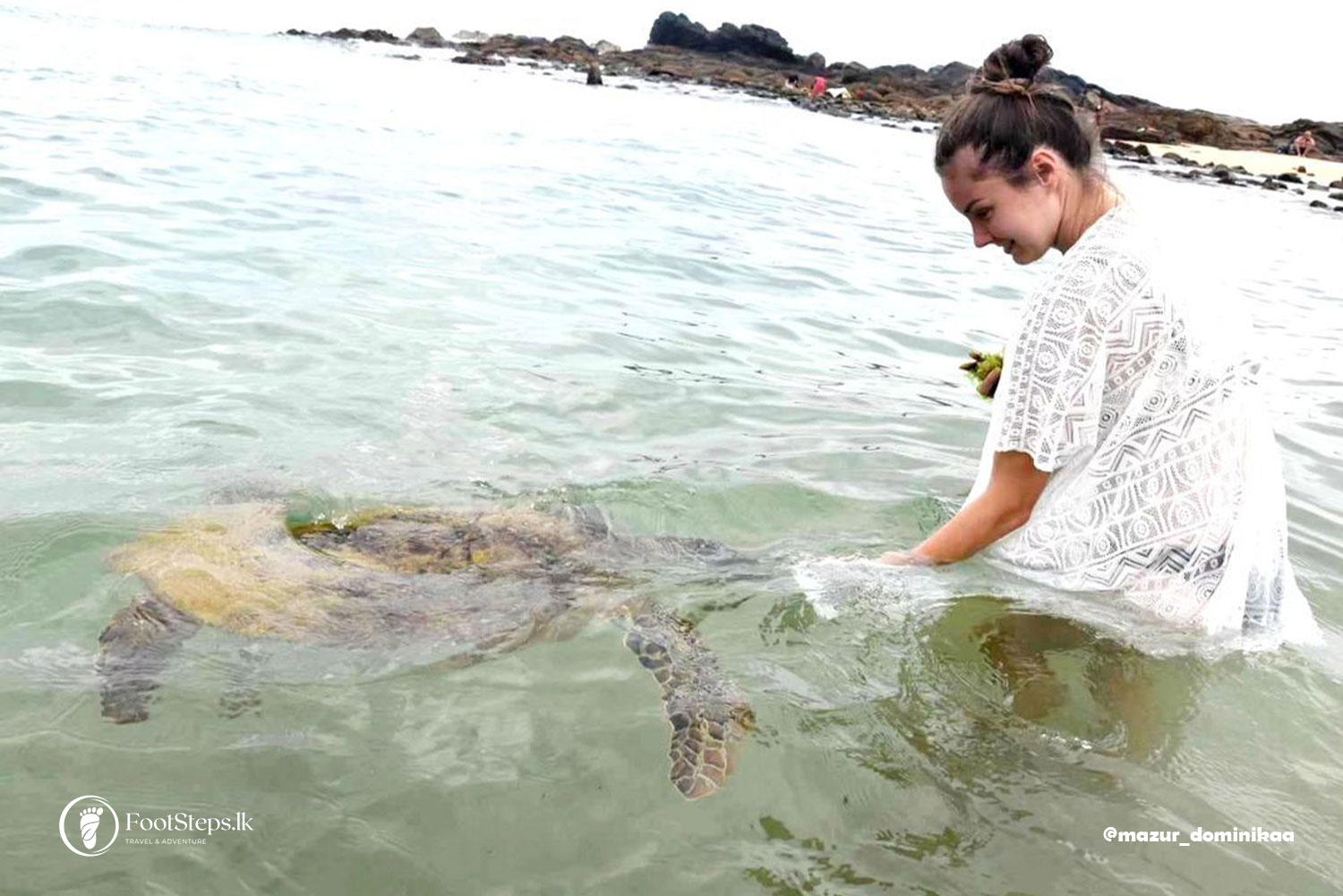 Sea turtles watching at Turtle Beach at Mihiripenna, Best Beaches in Sri Lanka