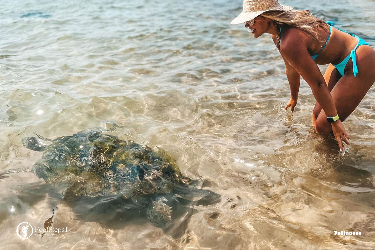 Sea turtles watching at Turtle Beach at Hikkaduwa, Best Beaches in Sri Lanka