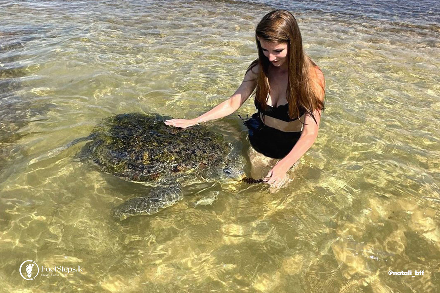 Sea turtles watching at Turtle Beach at Hikkaduwa, Best Beaches in Sri Lanka